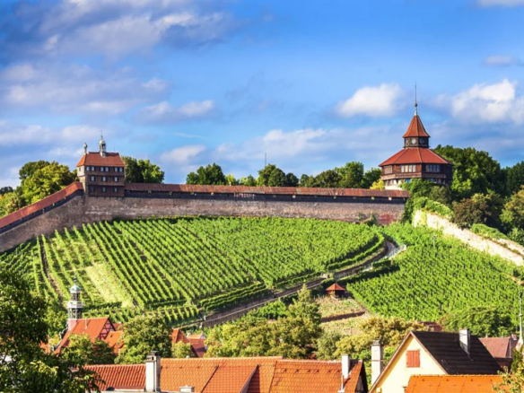 Esslingen-Burg-800x533-01
